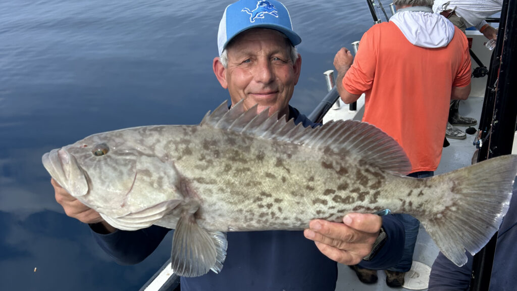 OFFSHORE - gag grouper (3)