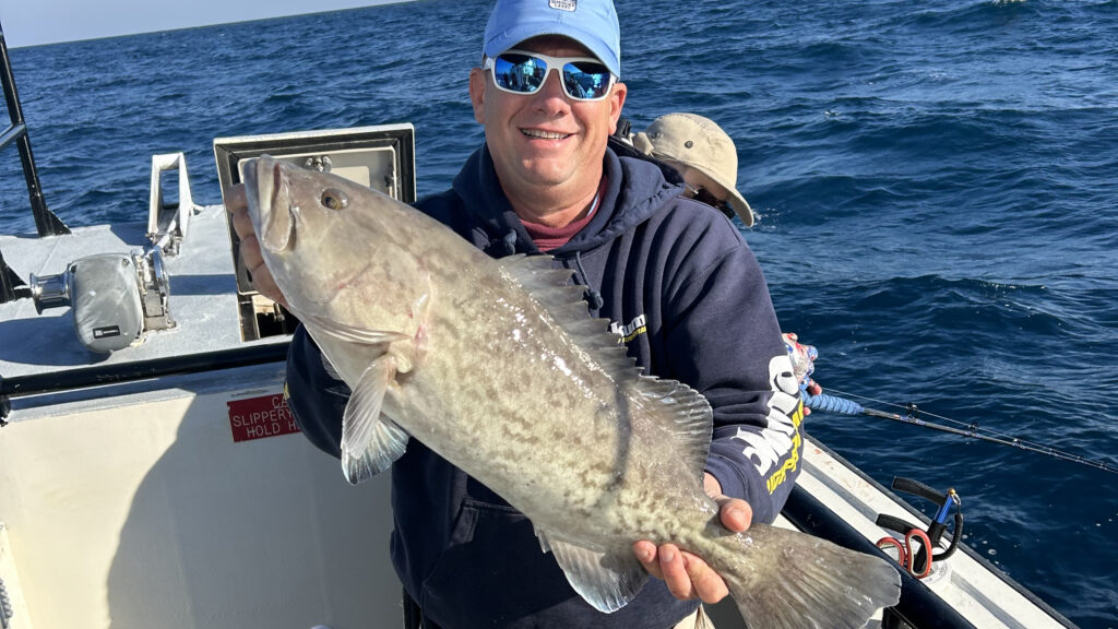 OFFSHORE - gag grouper (5)