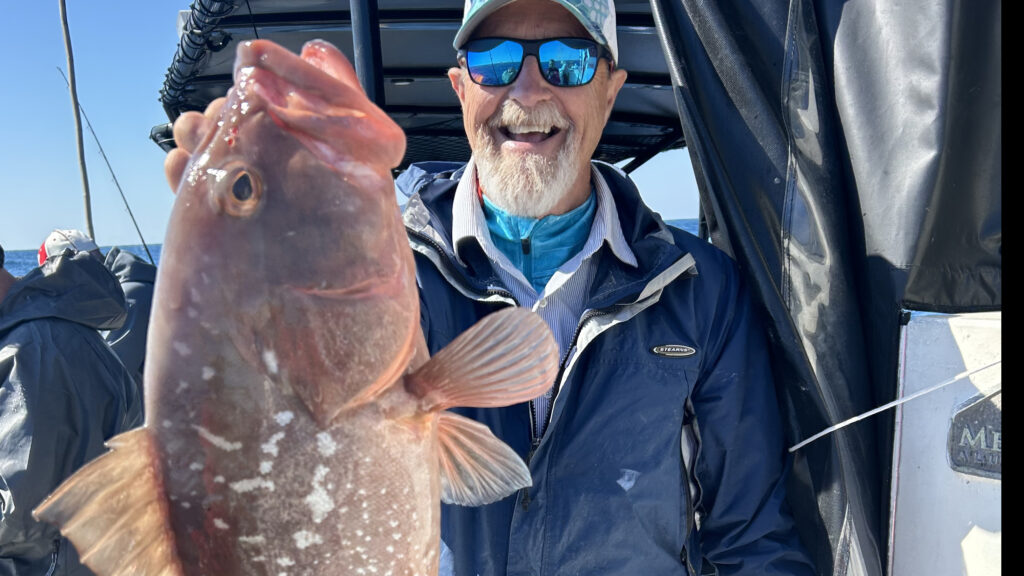 OFFSHORE - red grouper (1)