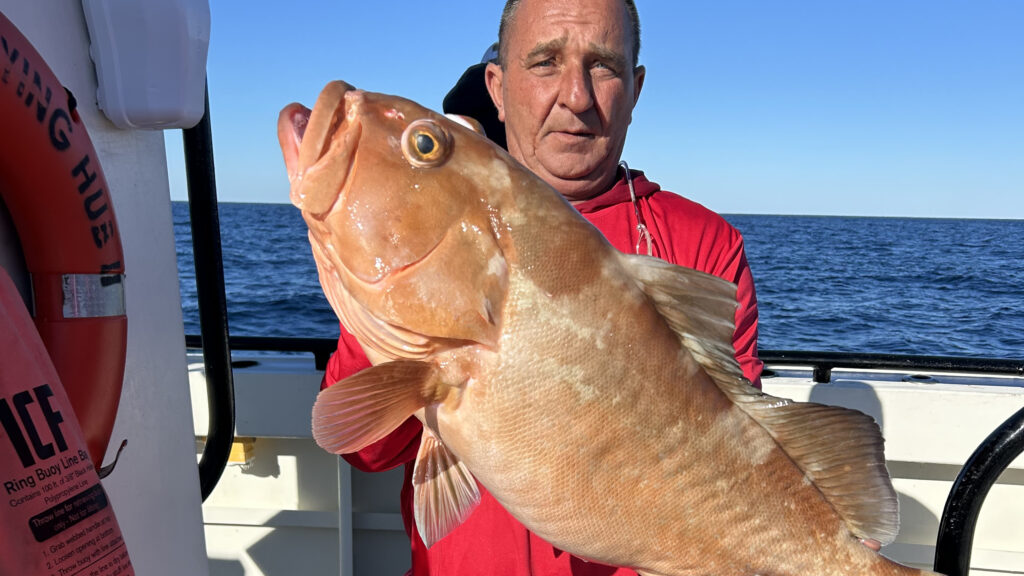 OFFSHORE - red grouper