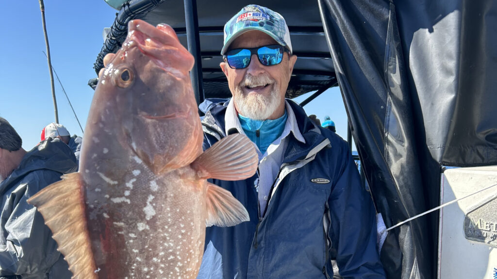 OFFSHORE - red grouper (2)