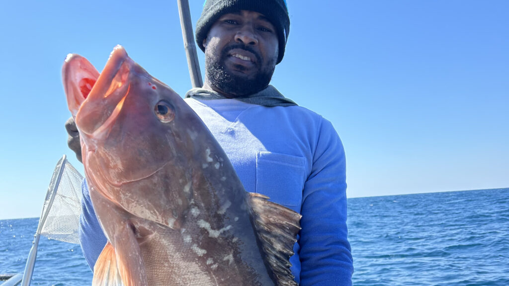 OFFSHORE - red grouper (3)