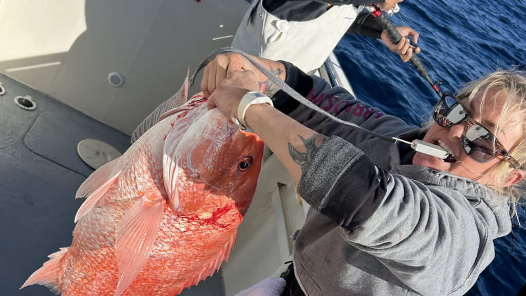 OFFSHORE - red snapper
