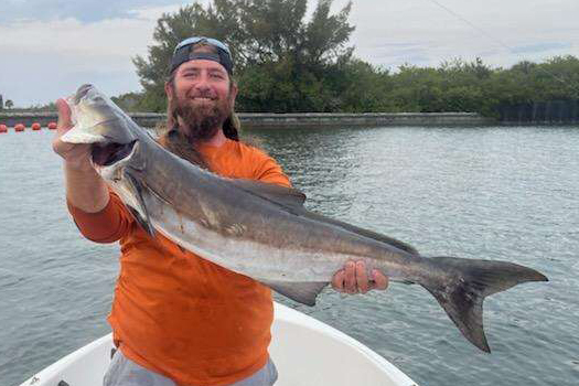 INSHORE - cobia (2)