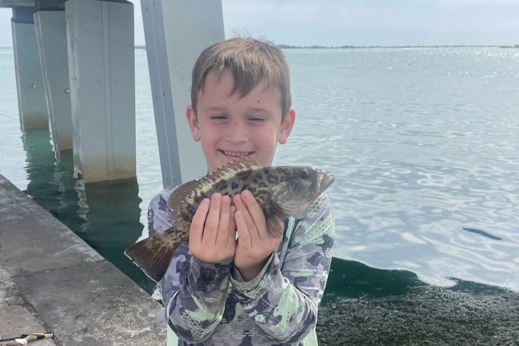 INSHORE - gag grouper