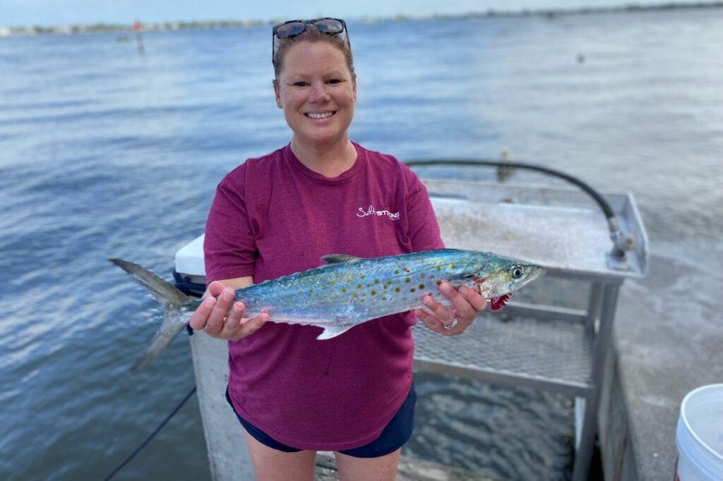 INSHORE - mackerel