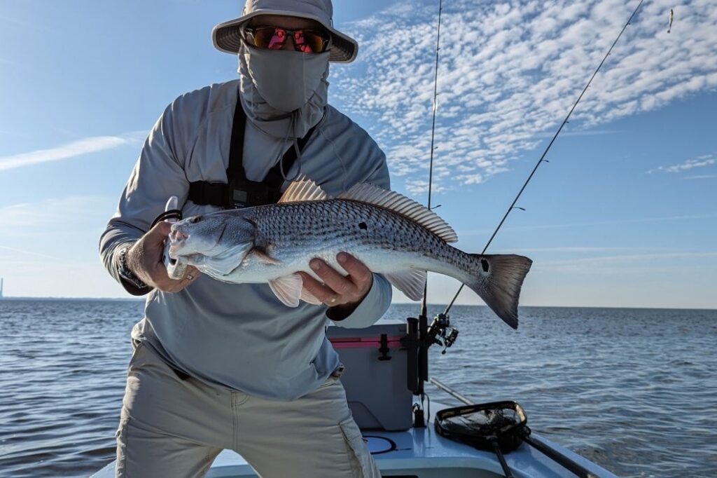 INSHORE - redfish