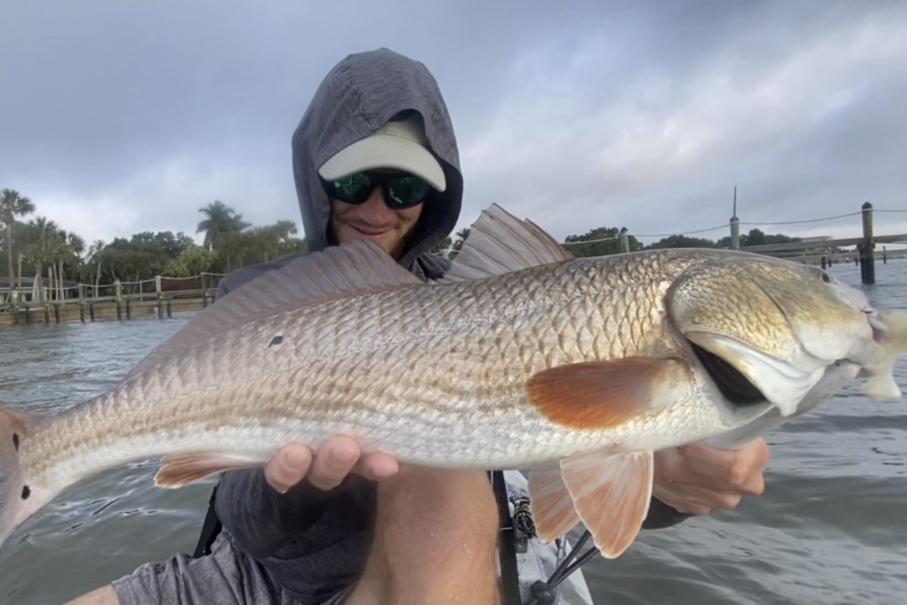 INSHORE-redfish5