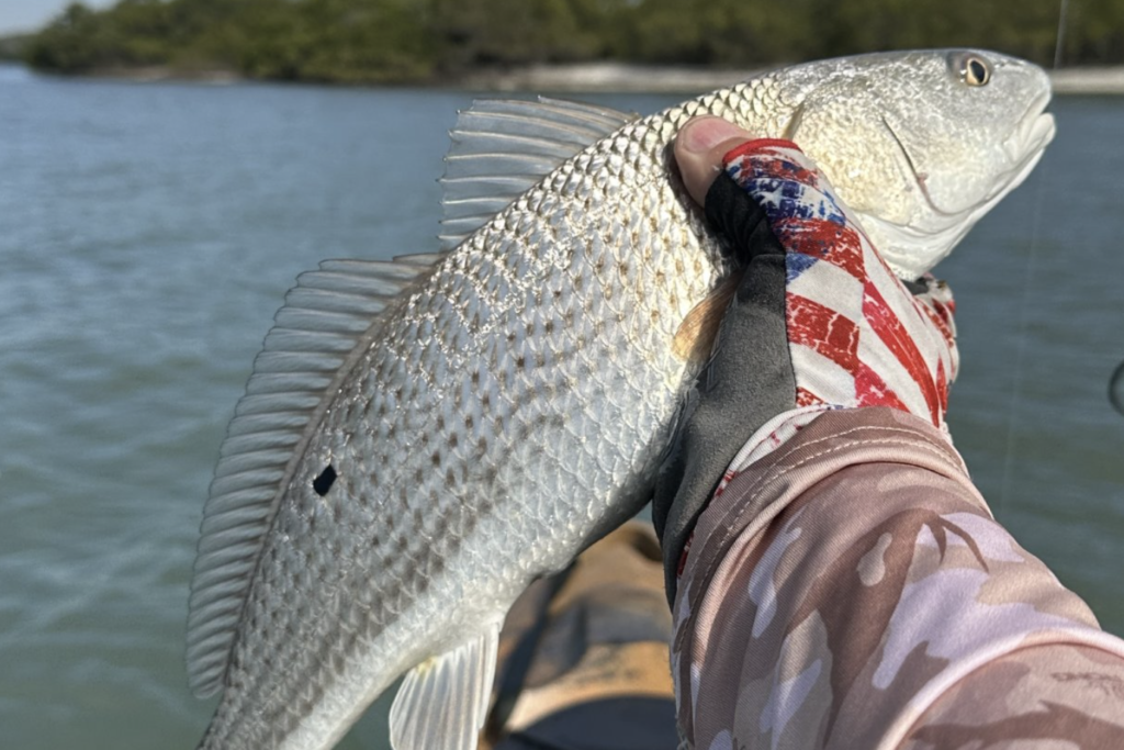 INSHORE-redfish6