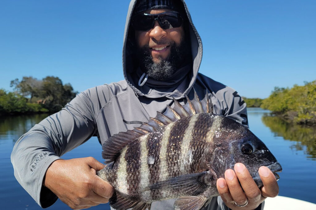 INSHORE - sheepshead (1)