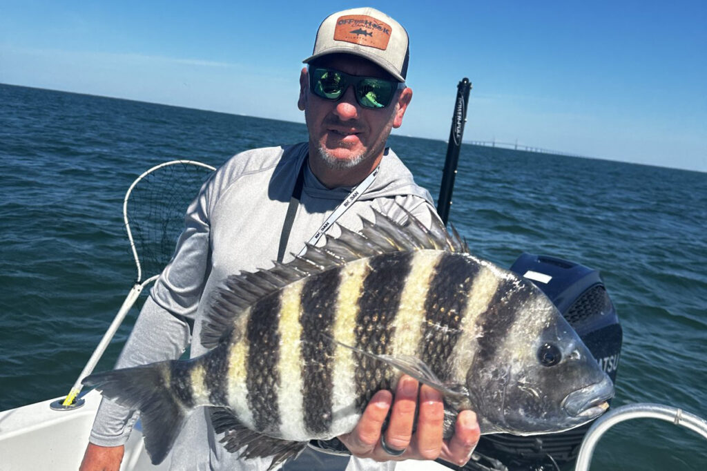 INSHORE - sheepshead (3)