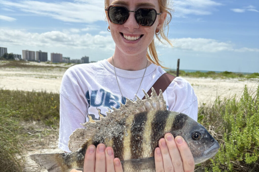 INSHORE-sheepshead5