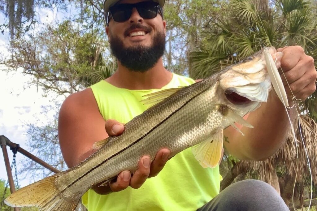 INSHORE - snook (1