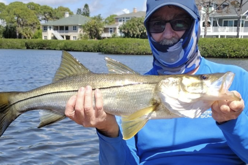 INSHORE-snook3