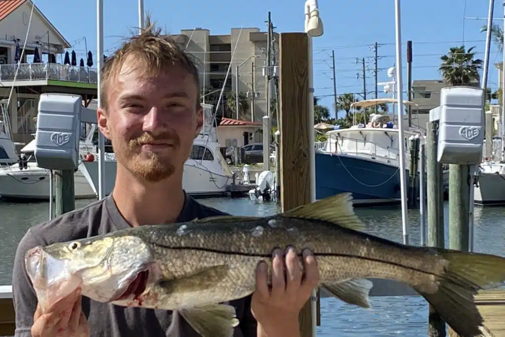 INSHORE-snook4