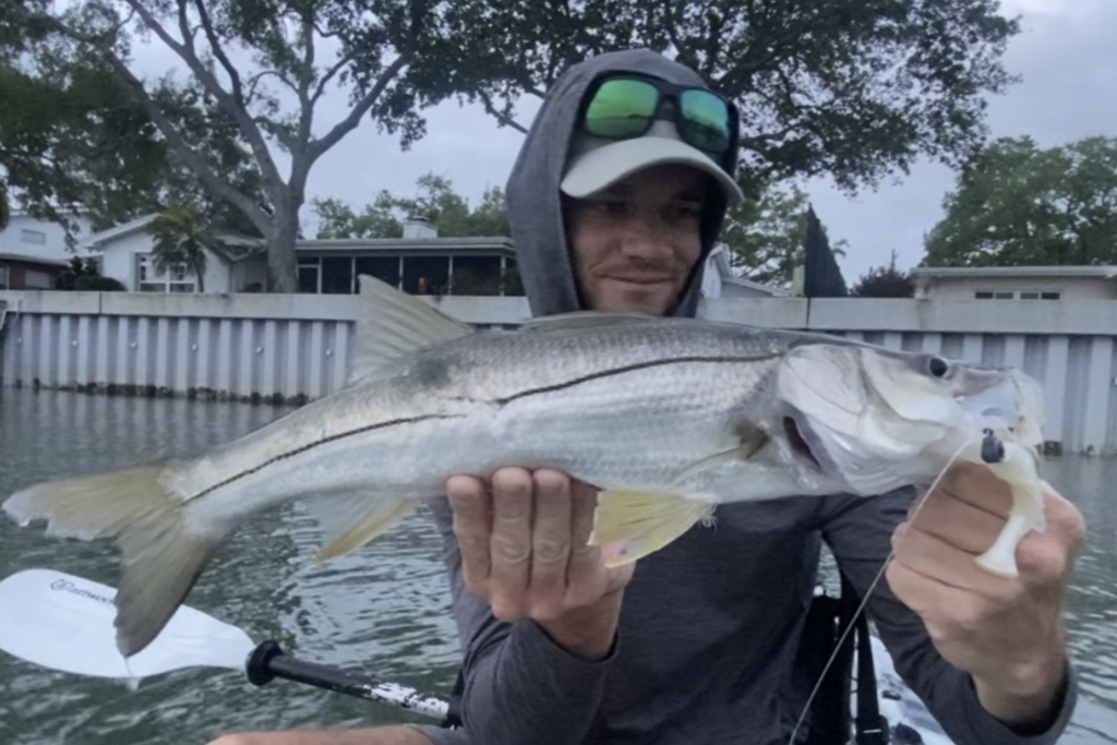 INSHORE-snook5