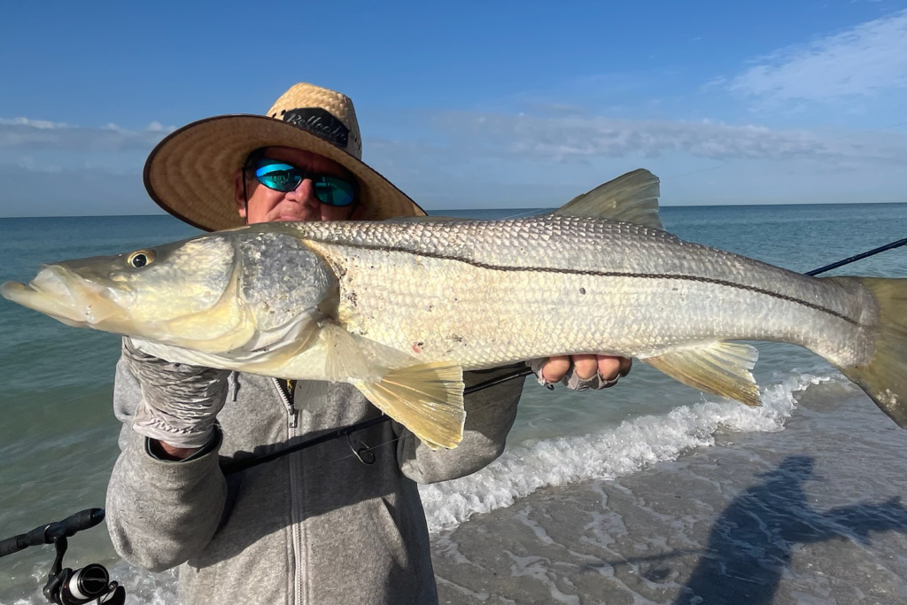 INSHORE-snook7