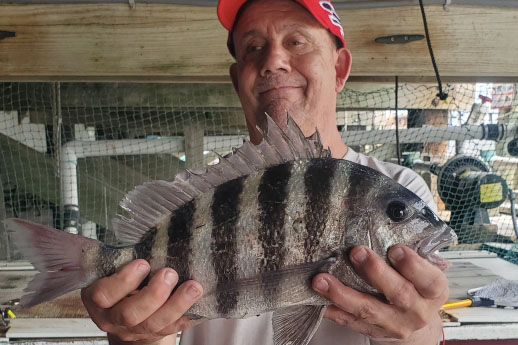 Inshore Fishing Report - Sheepshead - Hubbards Marina (3)