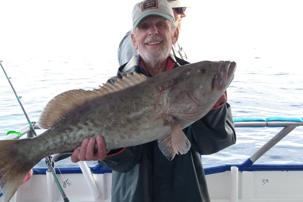 NEAR SHORE & OFFSHORE - gag grouper (3)