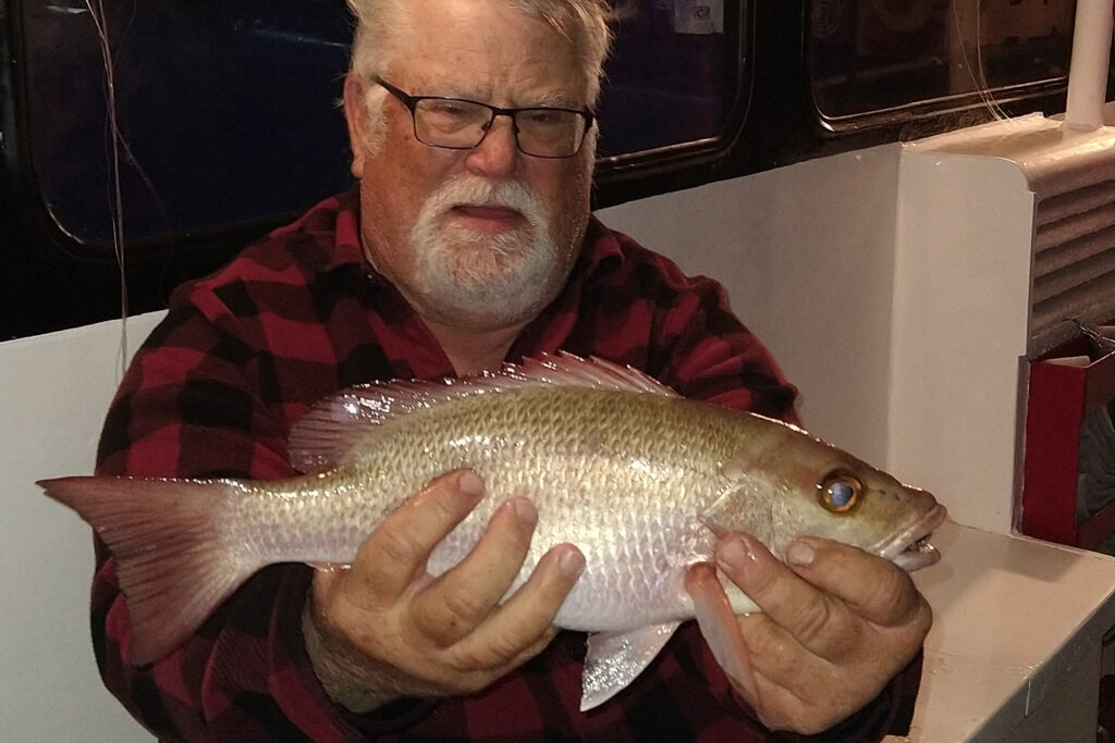 NEAR SHORE & OFFSHORE - mangrove snapper (11)