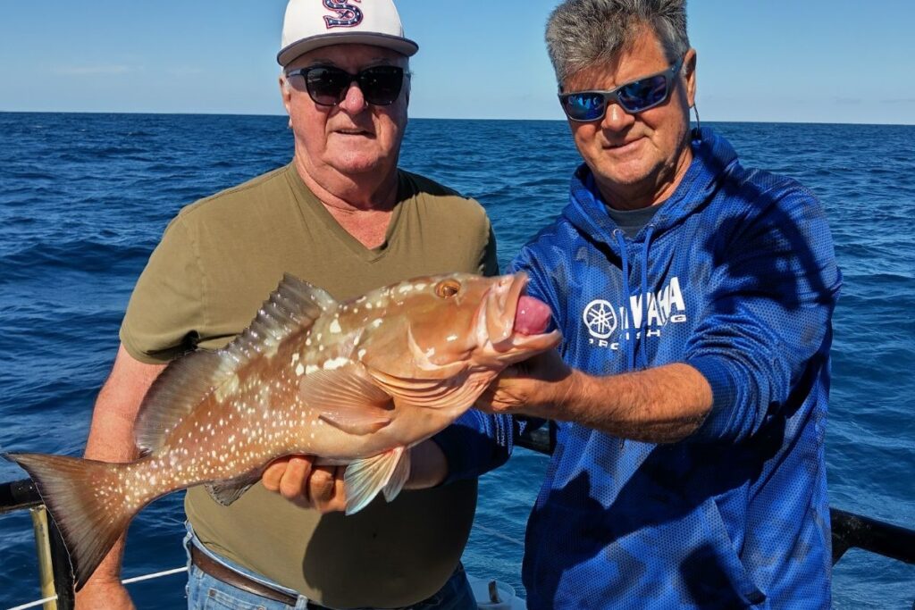 NEAR SHORE & OFFSHORE - red grouper (10)