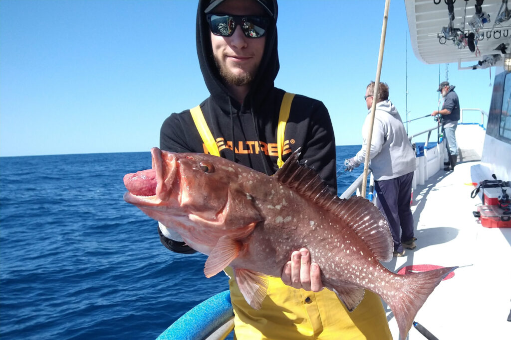 NEAR SHORE & OFFSHORE - red grouper (10)