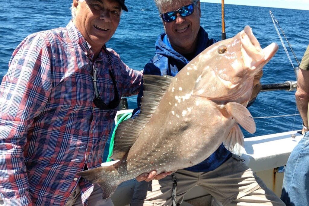 NEAR SHORE & OFFSHORE - red grouper (11)