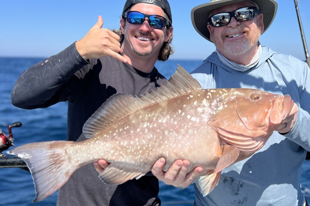 NEAR SHORE & OFFSHORE - red grouper (14)