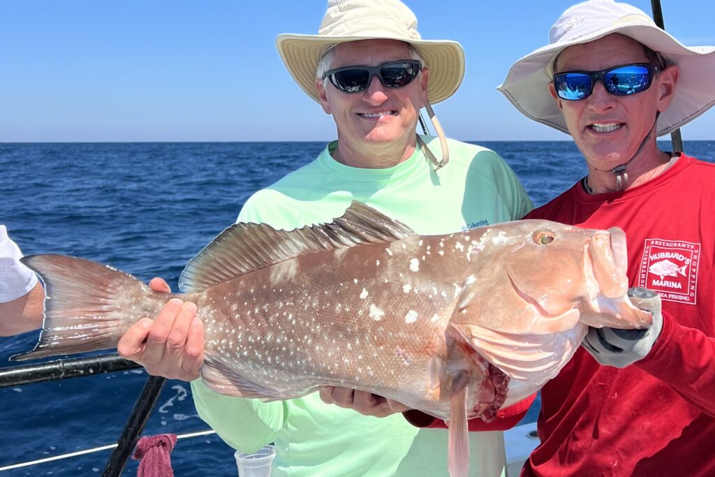 NEAR SHORE & OFFSHORE - red grouper (15)