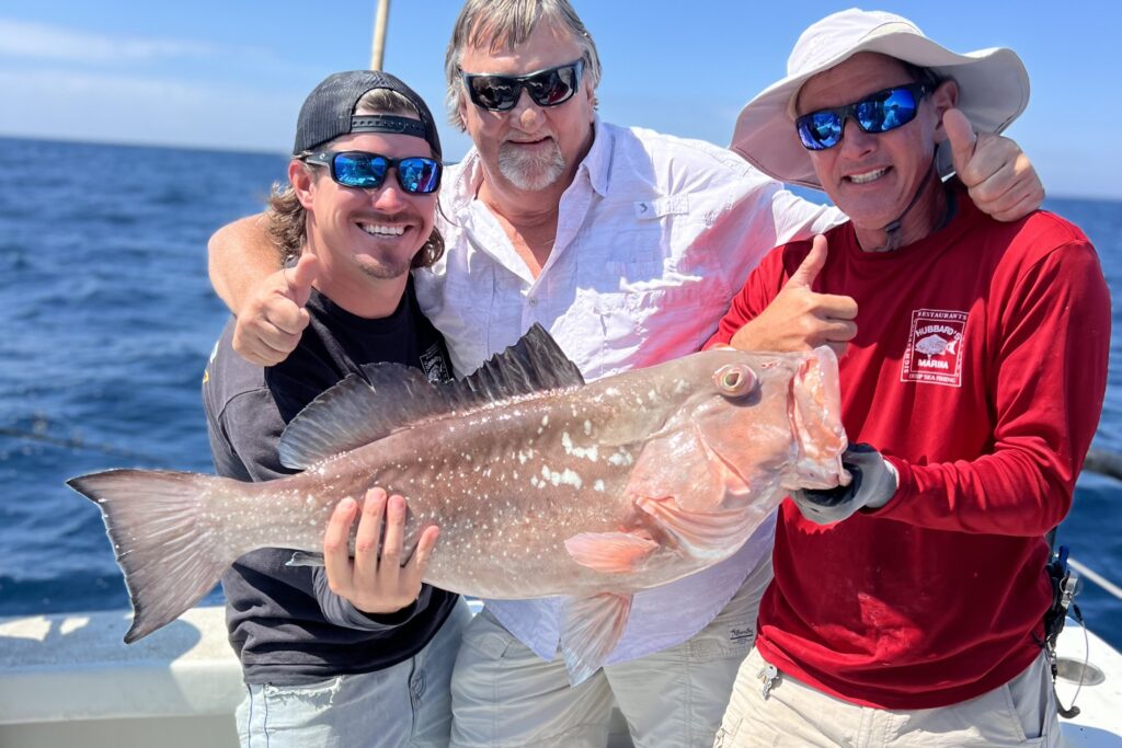 NEAR SHORE & OFFSHORE - red grouper (16)