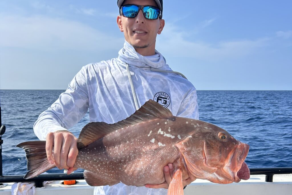 NEAR SHORE & OFFSHORE - red grouper (2)