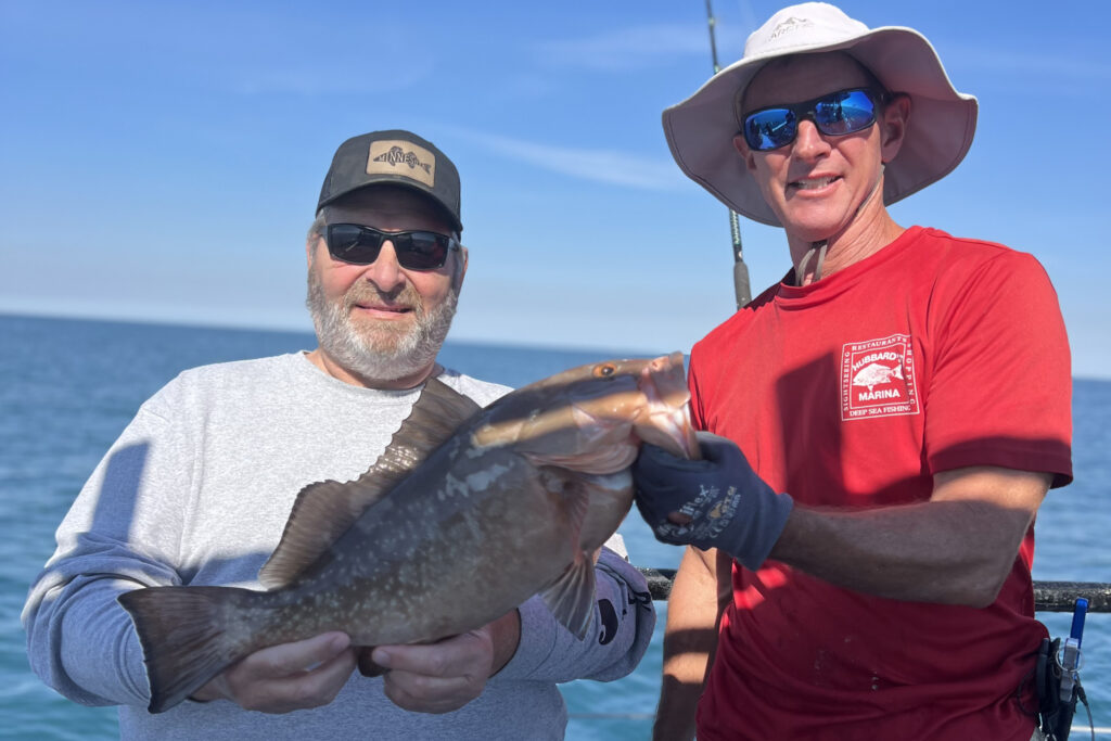 NEAR SHORE & OFFSHORE - red grouper (2)