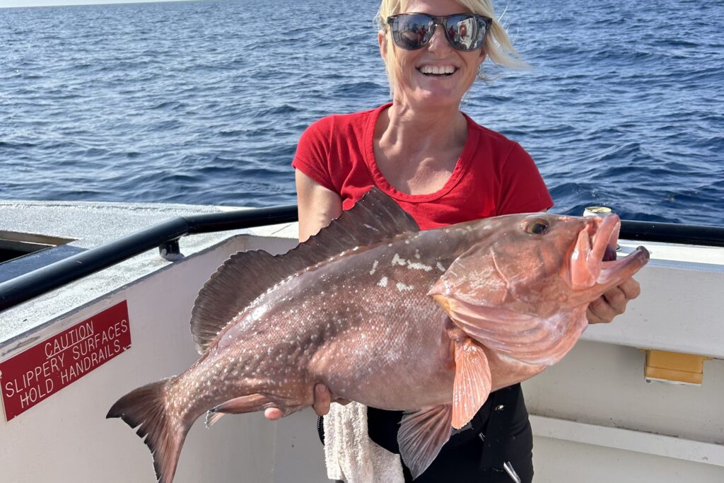 NEAR SHORE & OFFSHORE - red grouper (3)