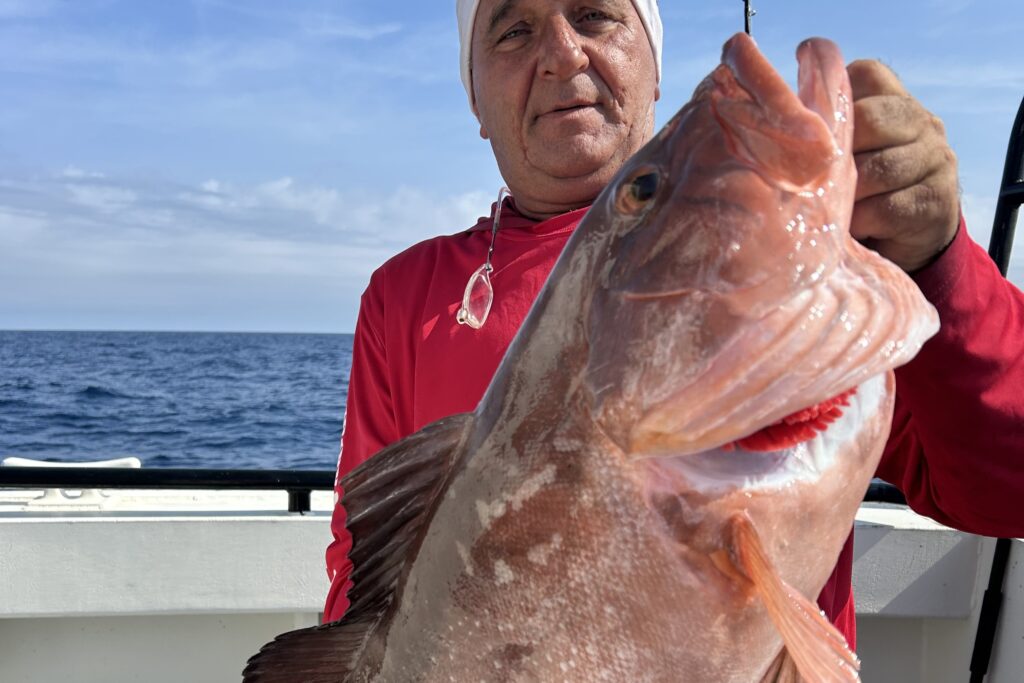 NEAR SHORE & OFFSHORE - red grouper (4)