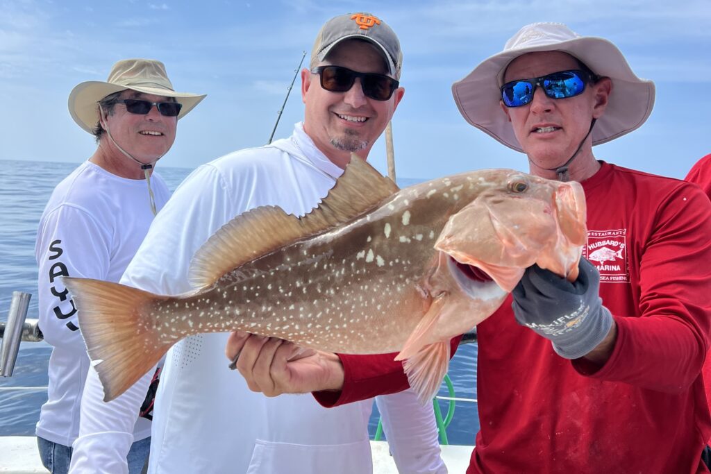 NEAR SHORE & OFFSHORE - red grouper (6)