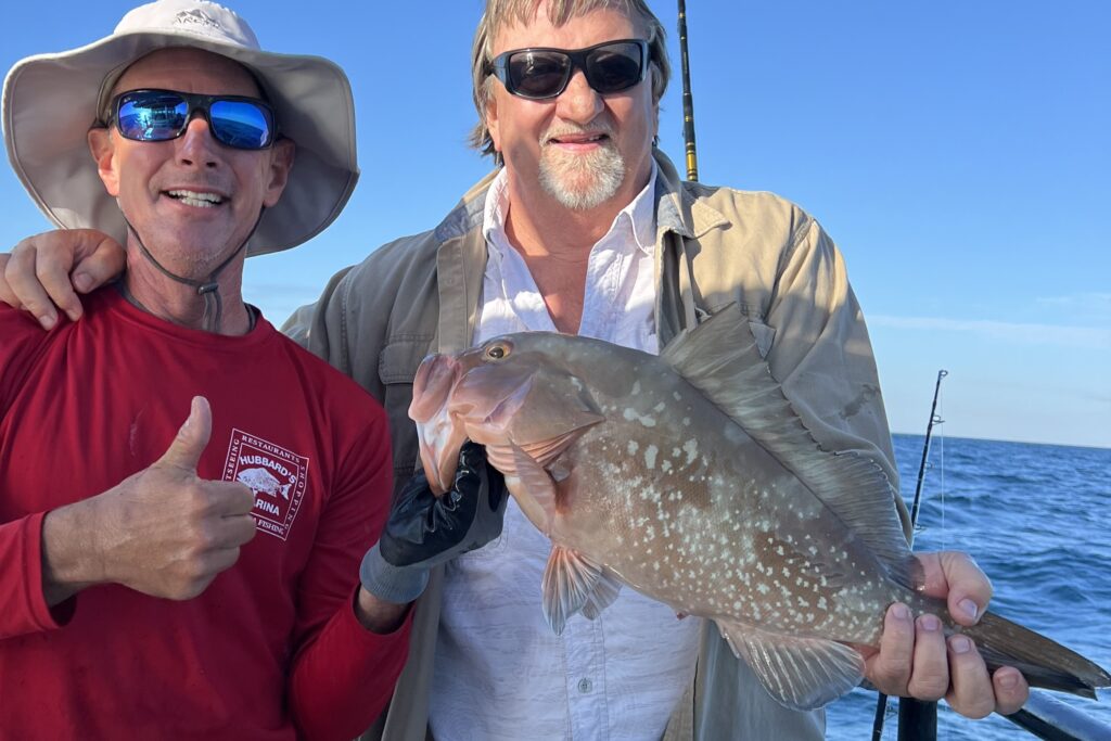 NEAR SHORE & OFFSHORE - red grouper (9)