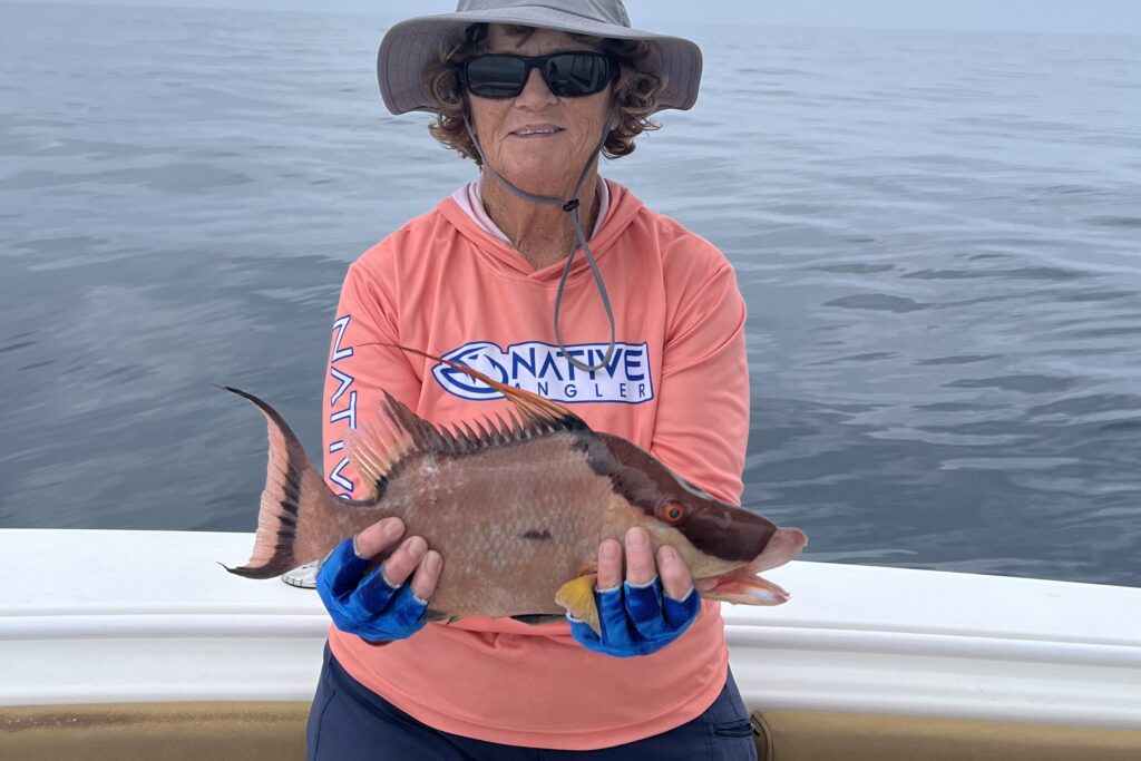 NEAR SHORE - hogfish