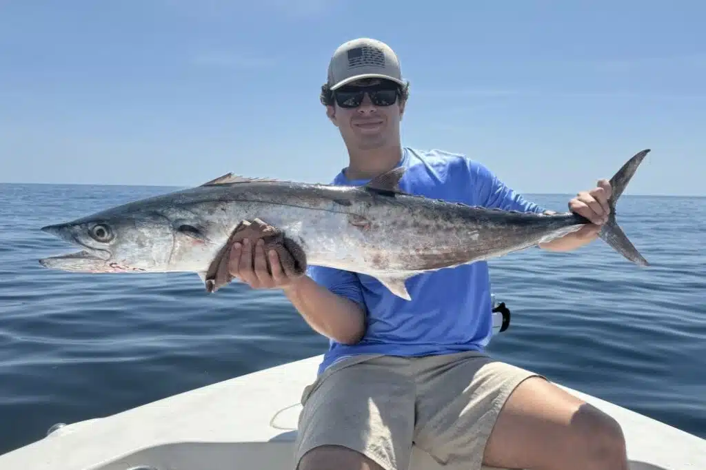 NEAR SHORE - kingfish