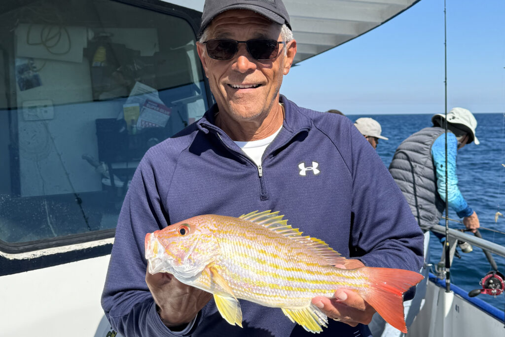 NEAR SHORE - lane snapper