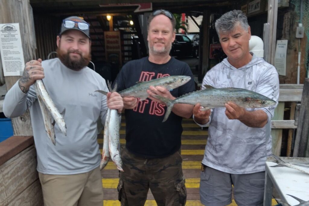 NEAR SHORE - mackerel