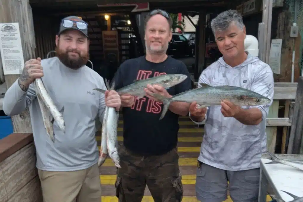 NEAR SHORE - mackerel