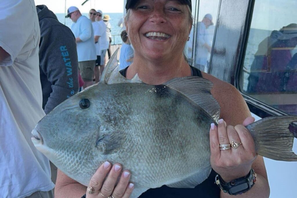 NEAR SHORE - triggerfish