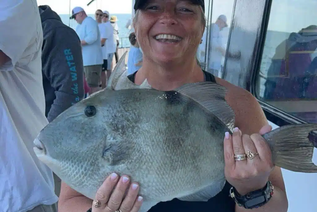 NEAR SHORE - triggerfish
