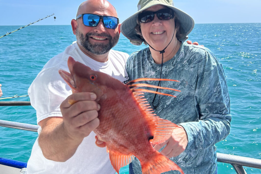 NEARSHORE-hogfish