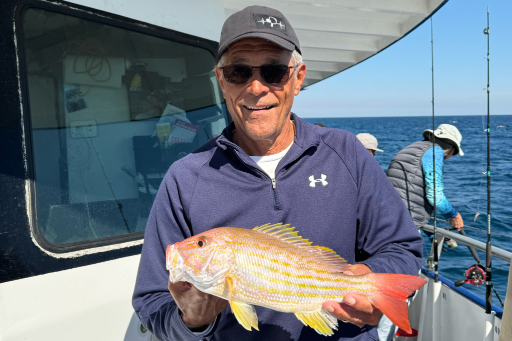 NEARSHORE-hogfish