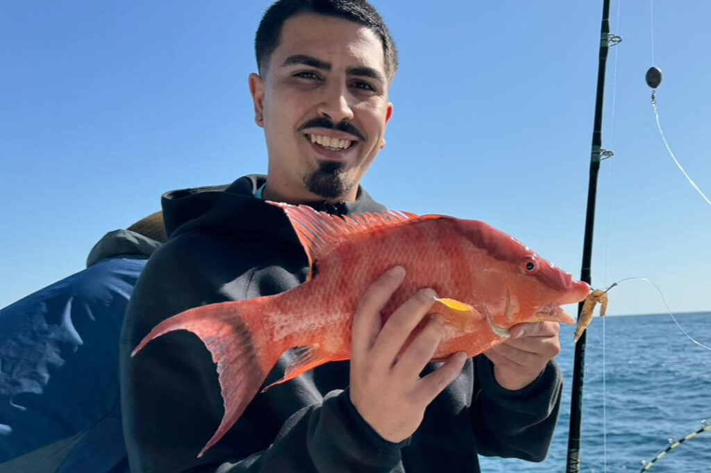 Nearshore Fishing Report - Hogfish - Hubbards Marina (2)