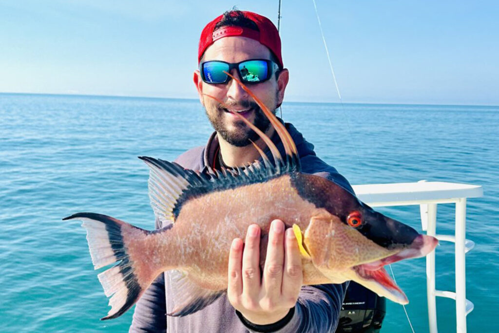 Nearshore Fishing Report - Hogfish - Hubbards Marina (2)