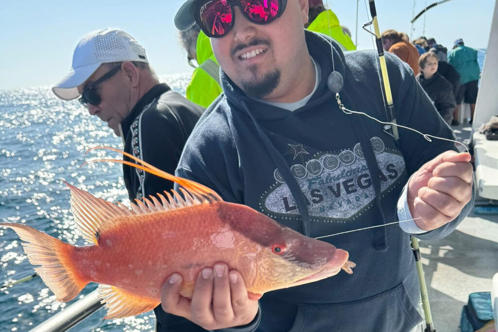 Nearshore Fishing Report - Hogfish - Hubbards Marina (3)