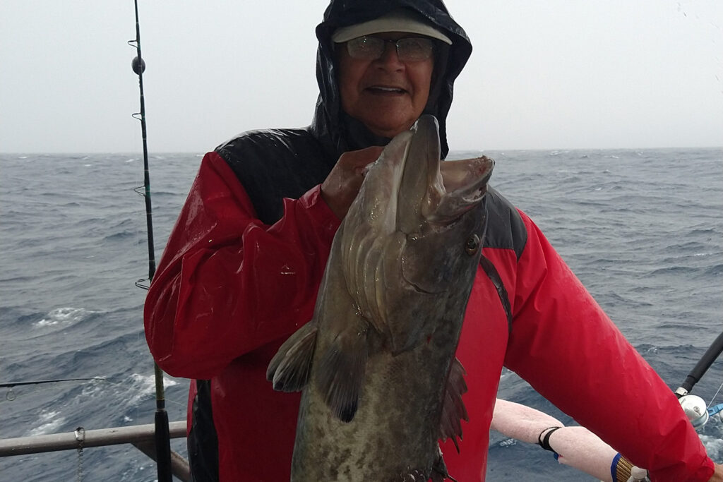 OFFSHORE - gag grouper