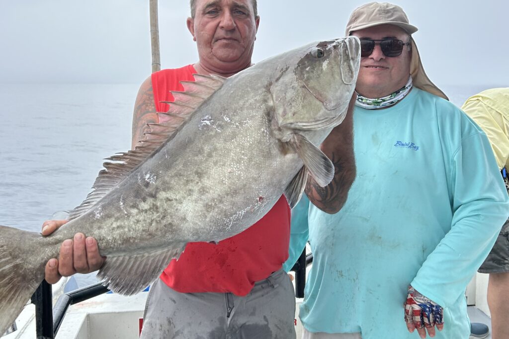 OFFSHORE - gag grouper (3)